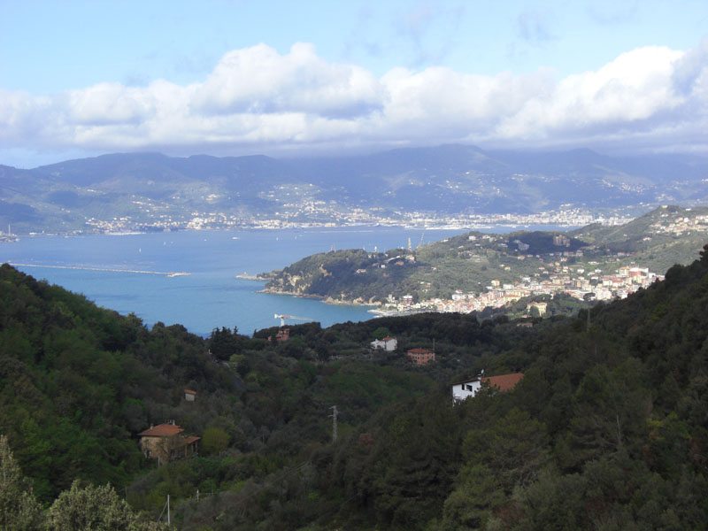 Cinque