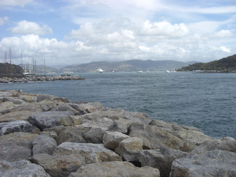 Cinque