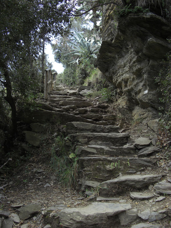 Cinque