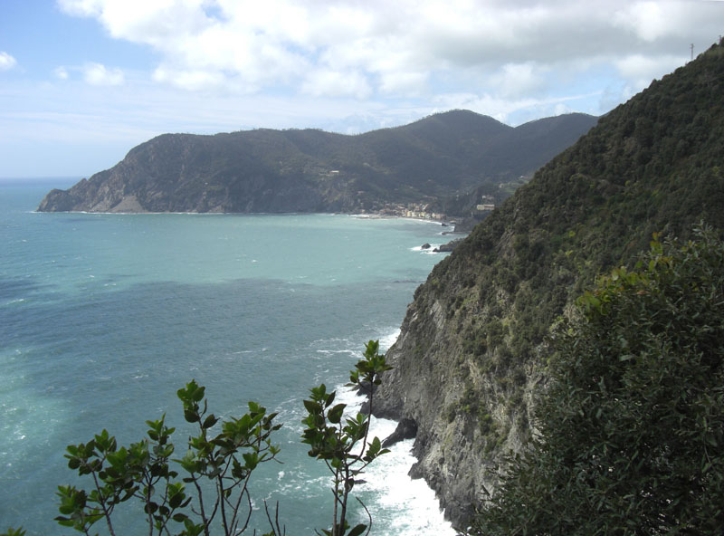 Cinque