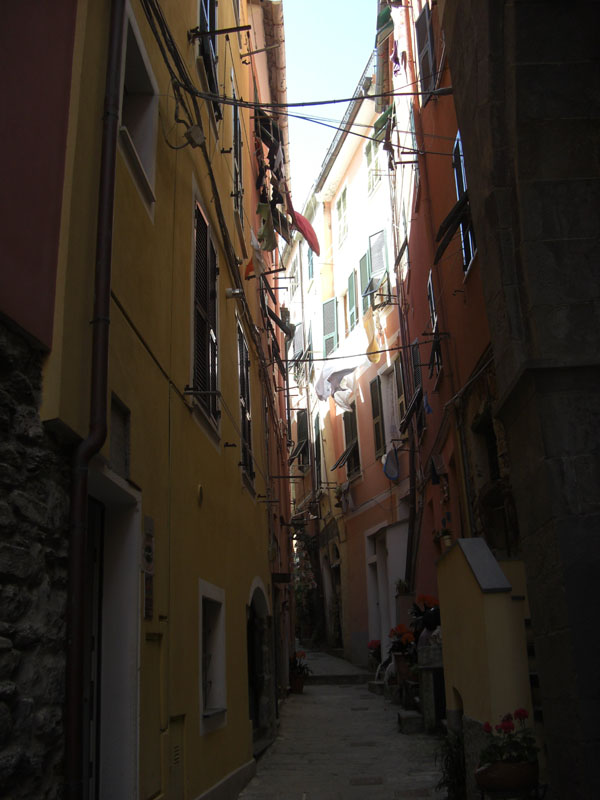 Cinque