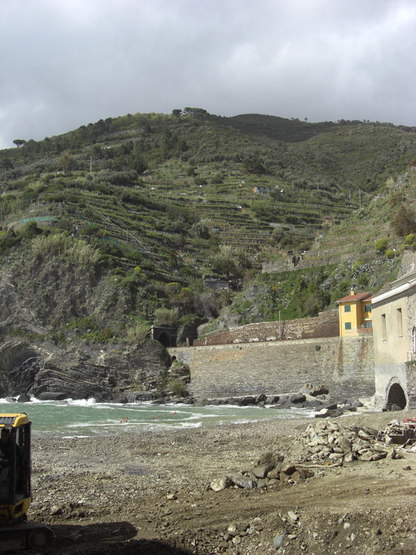 Cinque