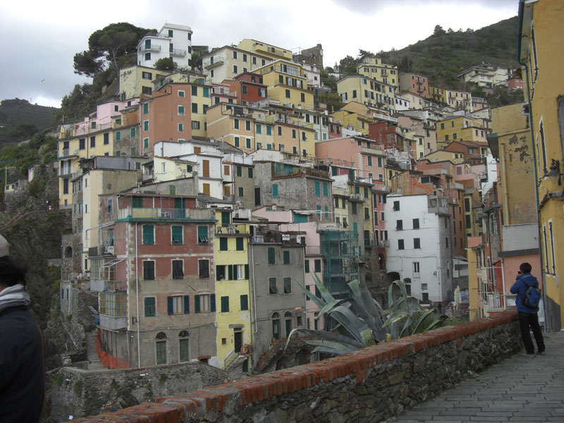 Cinque
