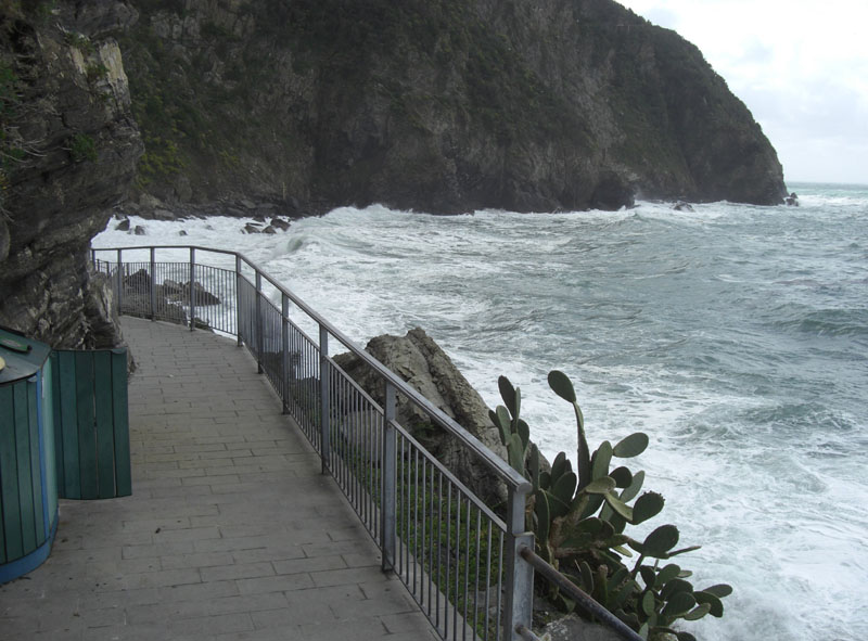 Cinque