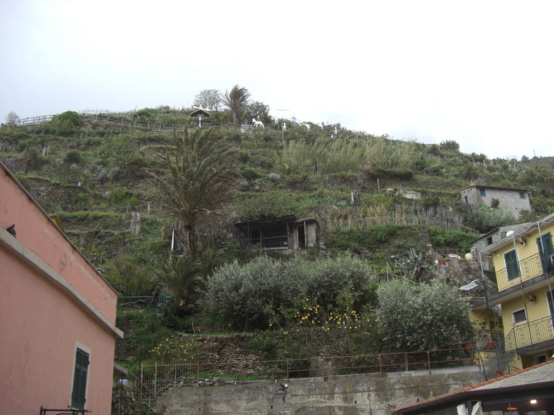 Cinque