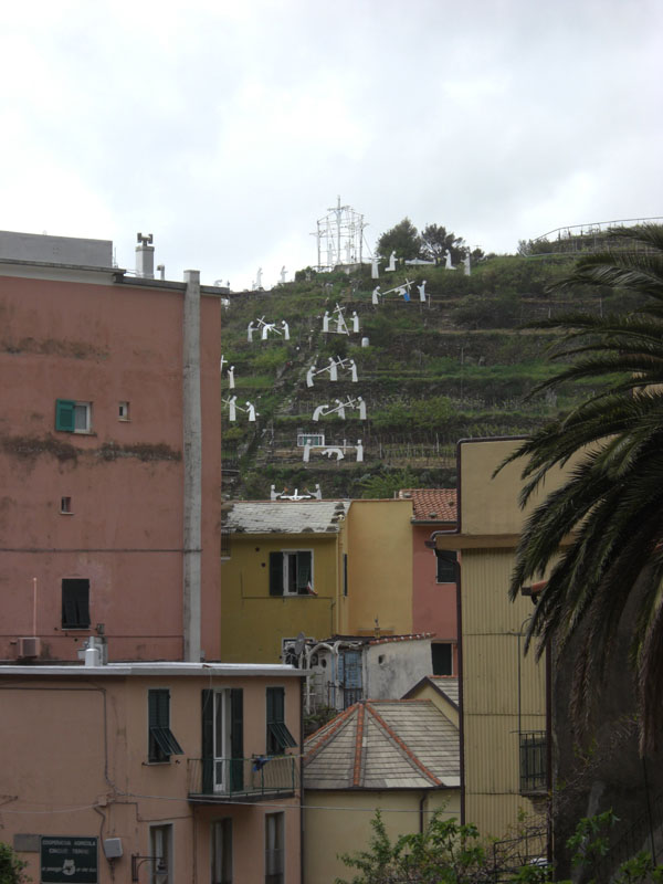 Cinque