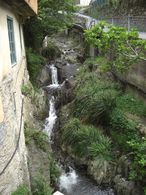 Cinque