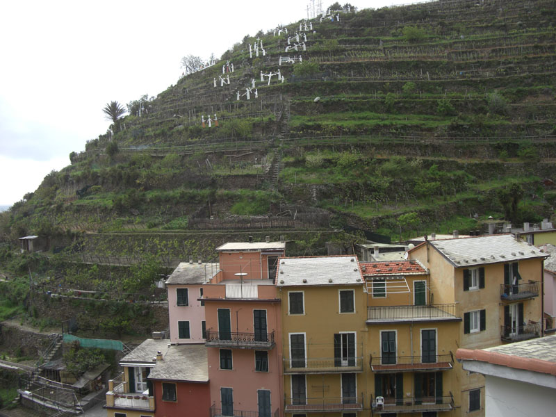 Cinque