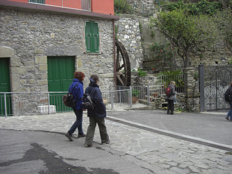 Cinque