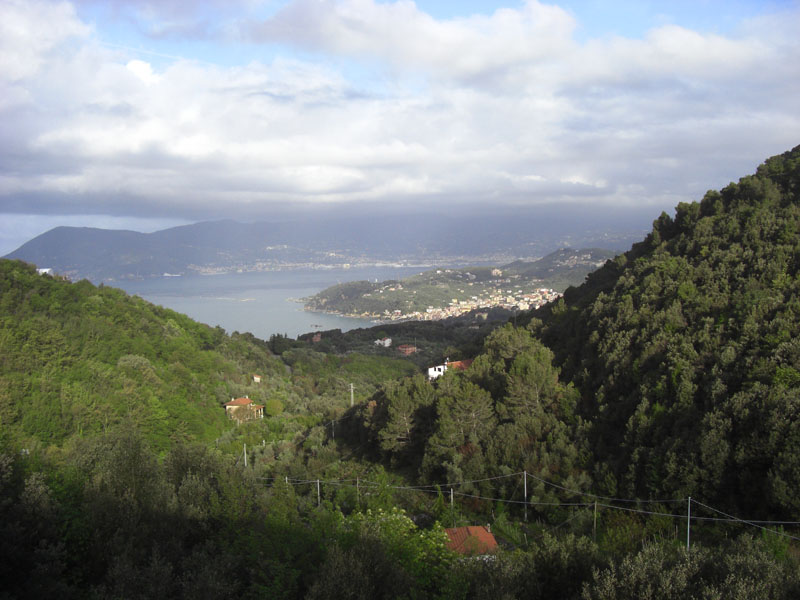 Cinque