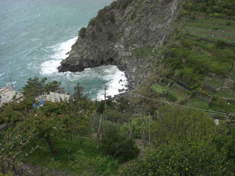 Cinque