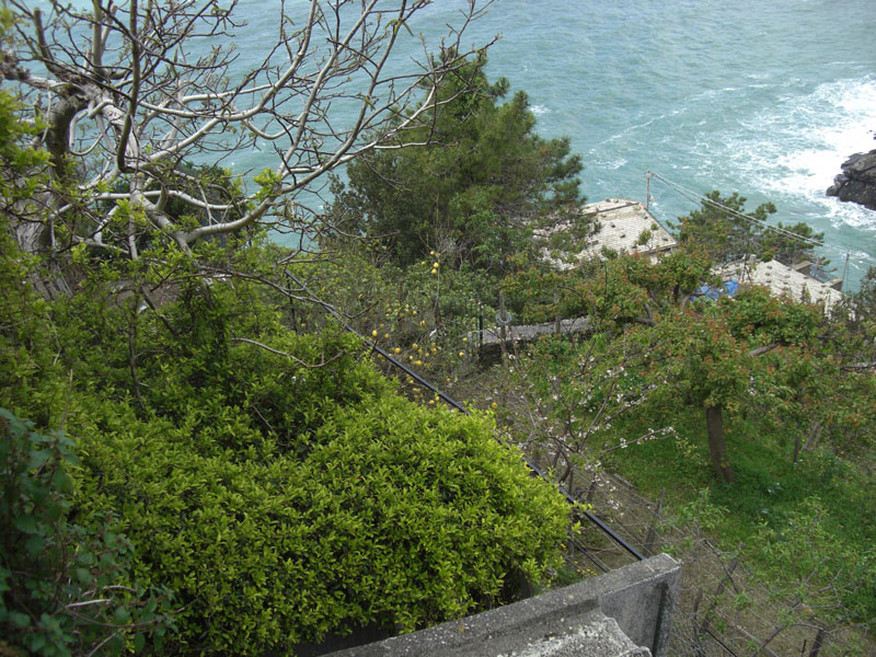 Cinque