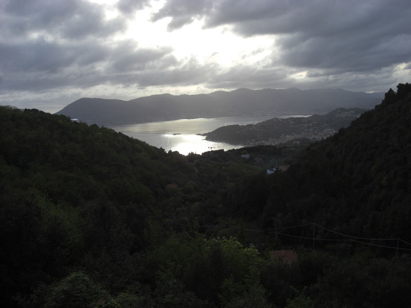 Cinque