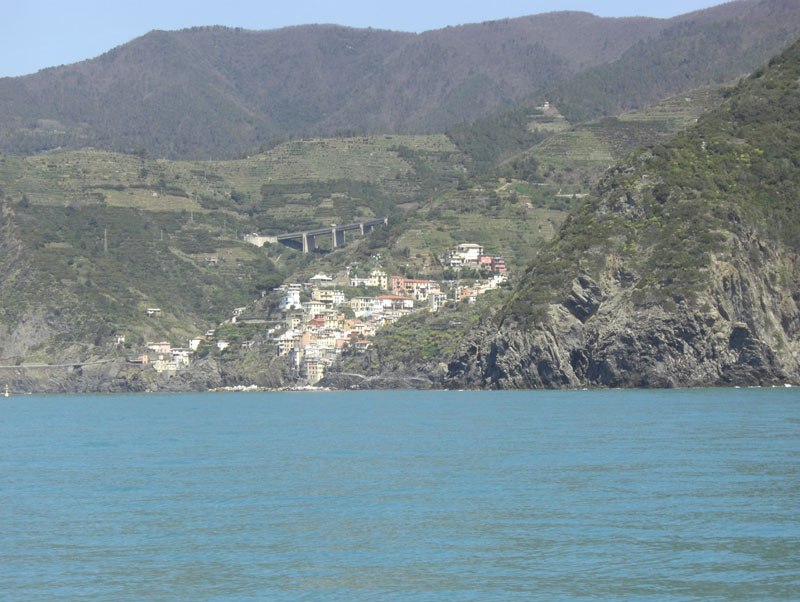 Cinque