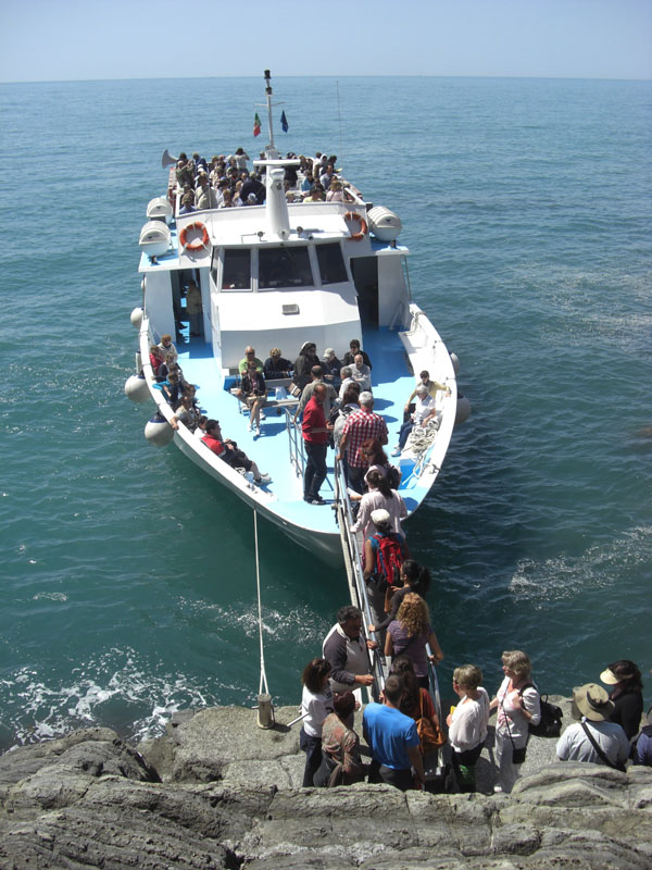 Cinque