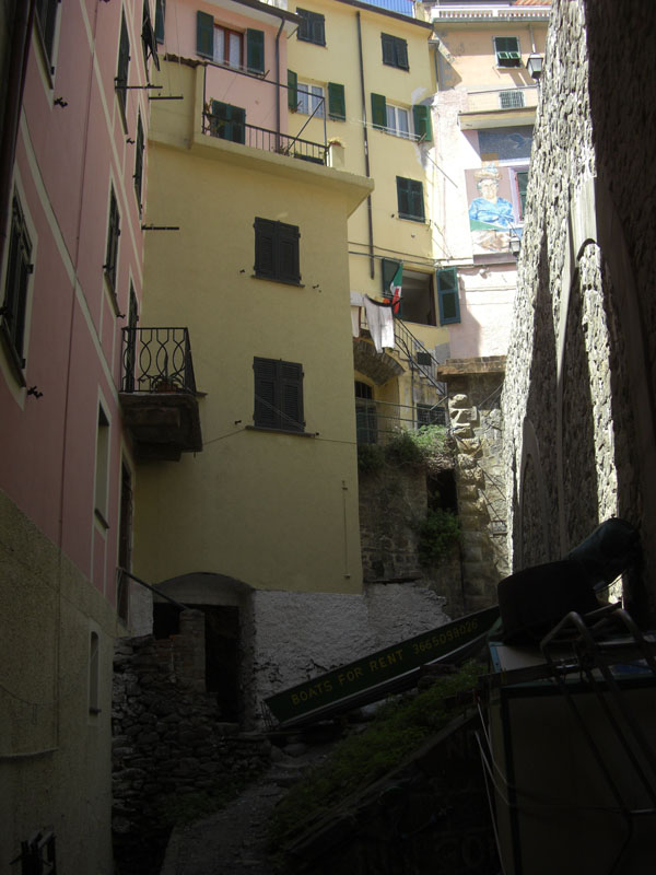 Cinque
