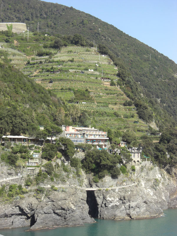 Cinque