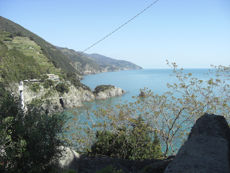 Cinque