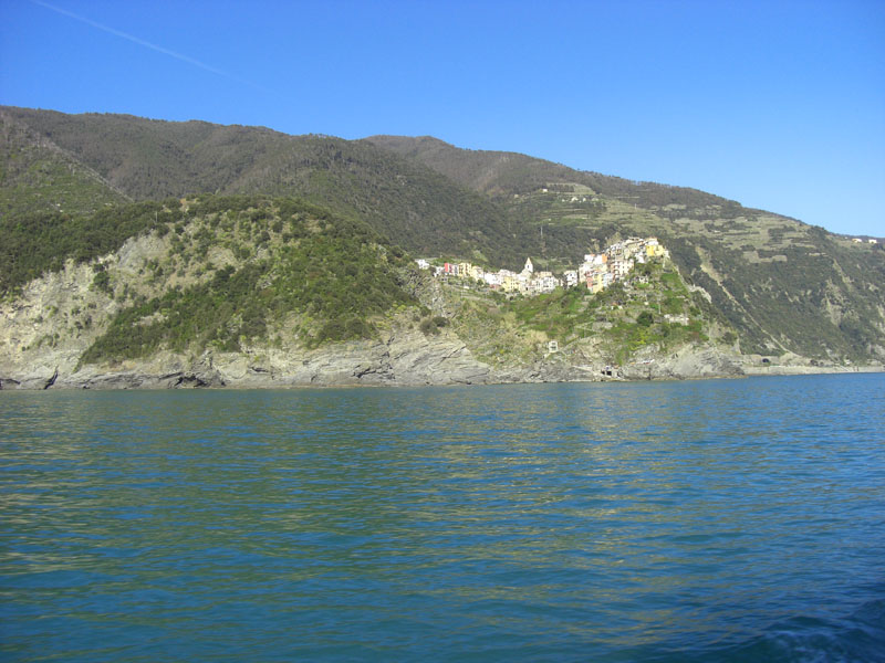 Cinque