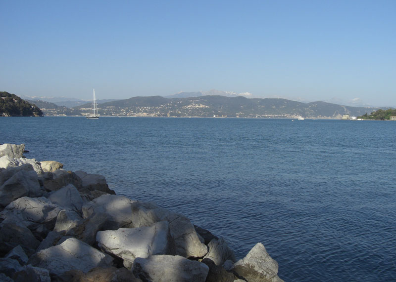 Cinque