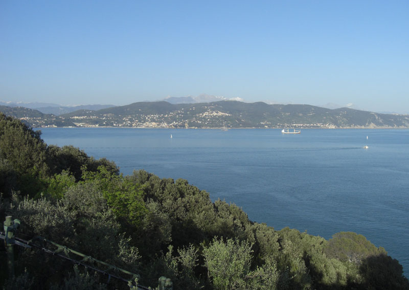 Cinque