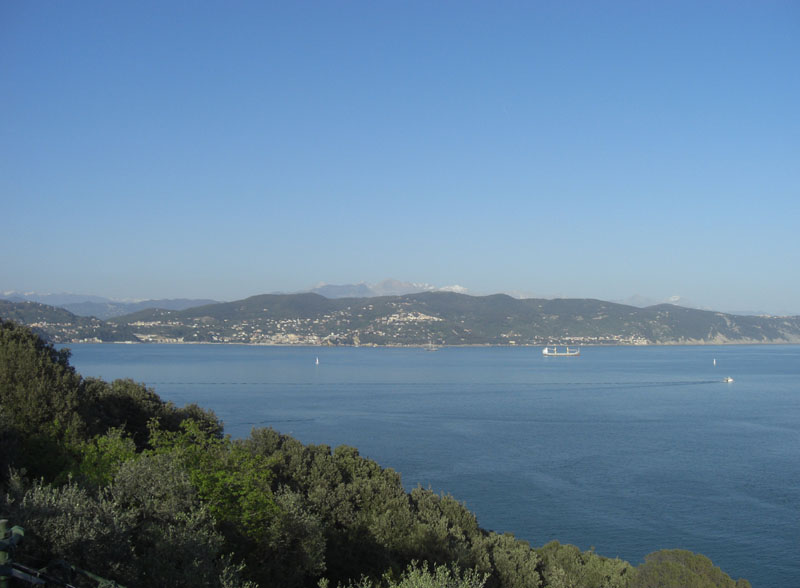 Cinque