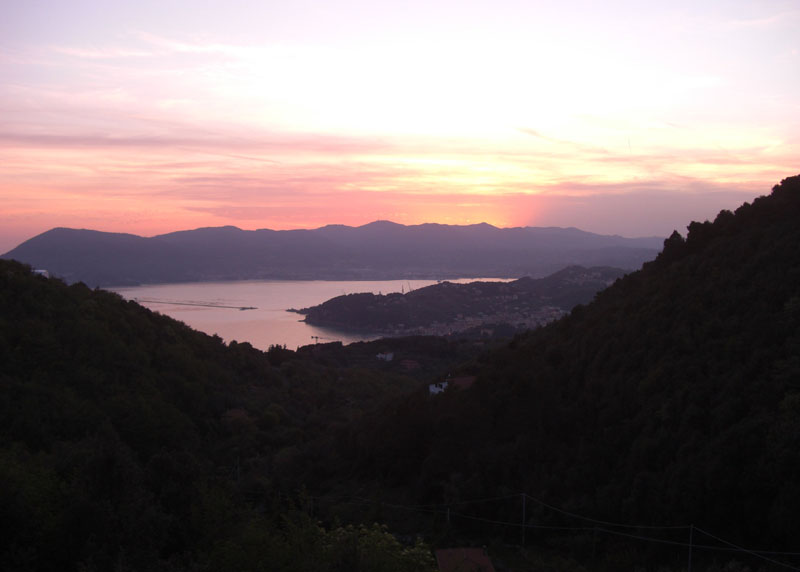 Cinque