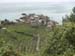 Cinque
