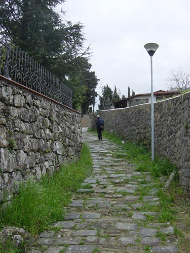 DSC00875
