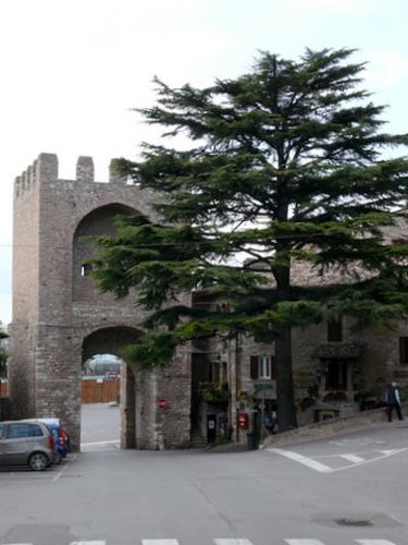 Italy2008