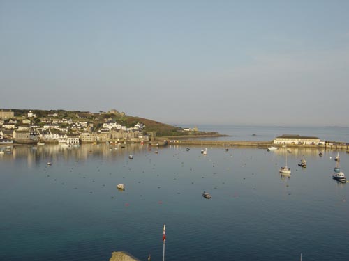 DSC00445