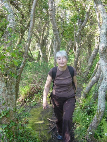 Dsc00450