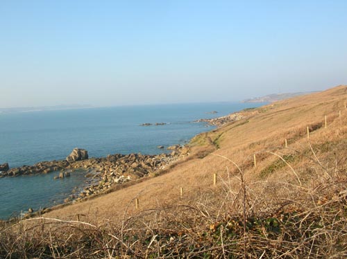 Scillies