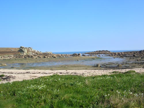 Scillies