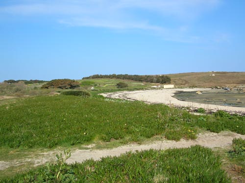 Scillies