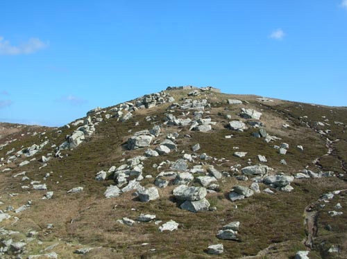 Scillies