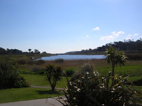 Scillies