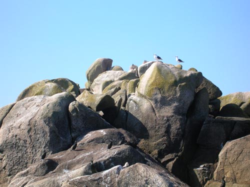 Scillies