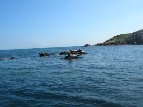 Scillies