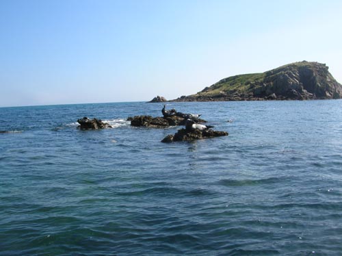 Scillies