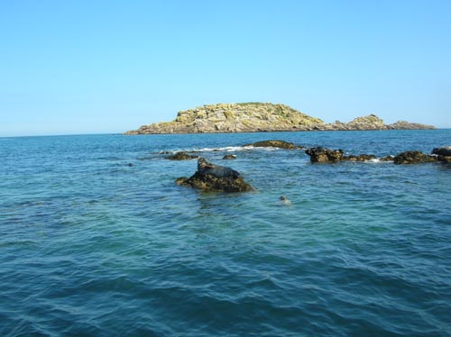 Scillies