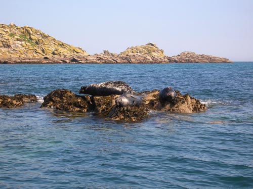 Scillies