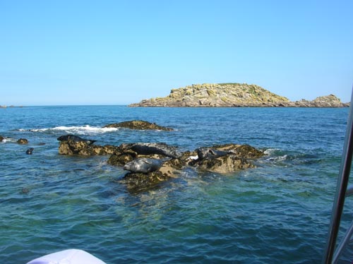 Scillies