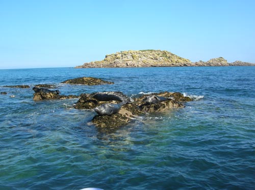 Scillies