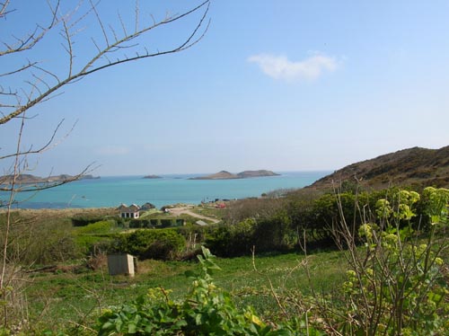 Scillies