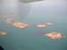 Scillies