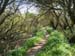 Scillies