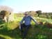 Scillies