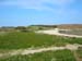 Scillies