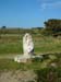 Scillies
